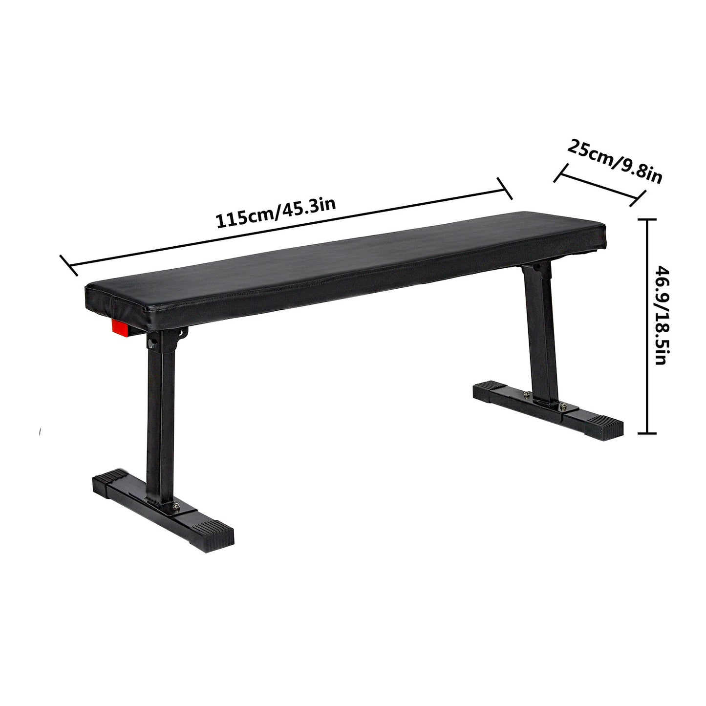 Exercise Bench
