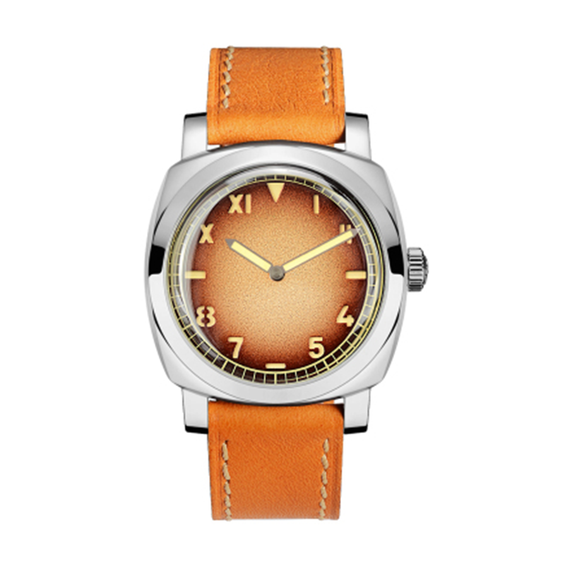 Retro luminous diving watch