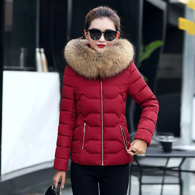 Short Slim Fit Women's Clothing Large Fur Collar Down Jacket