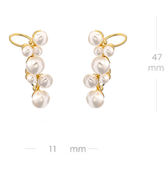 Special-shaped pearl female ear clip