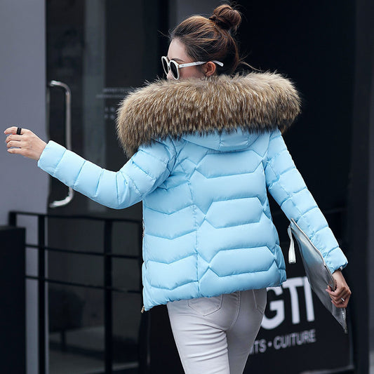 Short Slim Fit Women's Clothing Large Fur Collar Down Jacket