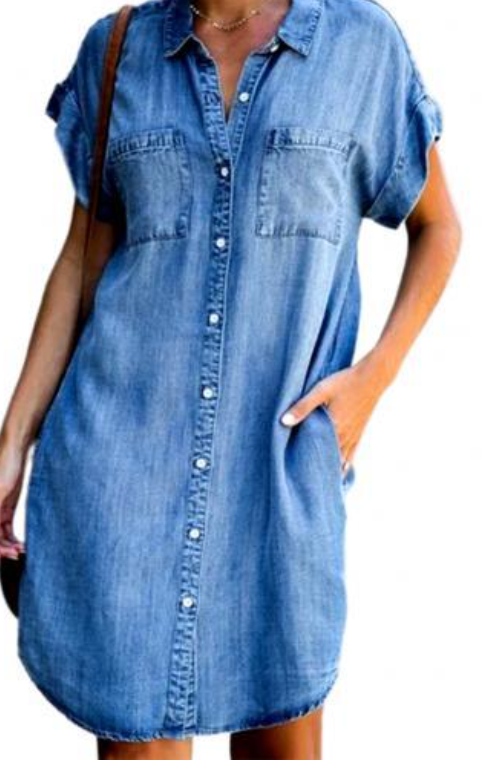 Blue Collar Short Sleeve Slim Dress