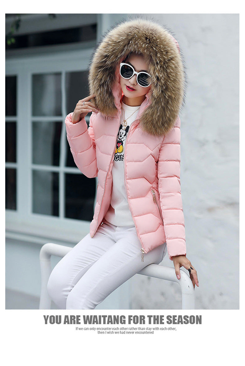 Short Slim Fit Women's Clothing Large Fur Collar Down Jacket