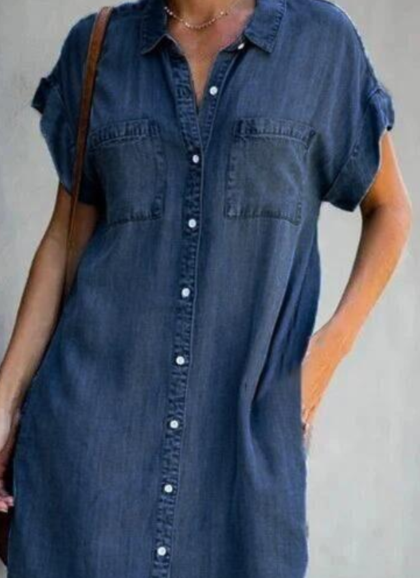 Blue Collar Short Sleeve Slim Dress