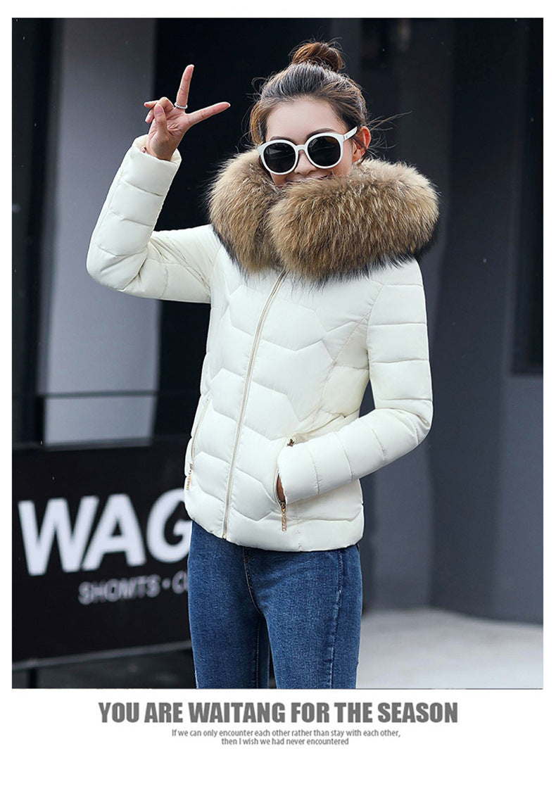 Short Slim Fit Women's Clothing Large Fur Collar Down Jacket