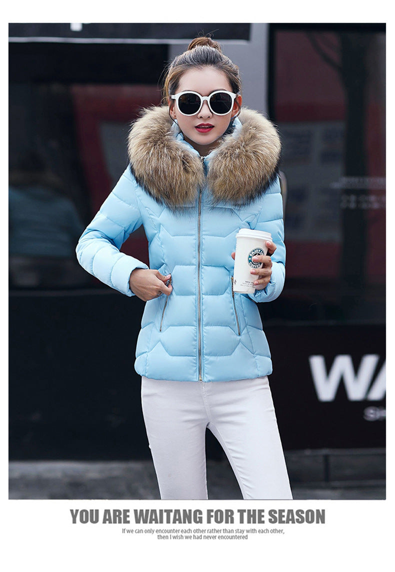 Short Slim Fit Women's Clothing Large Fur Collar Down Jacket