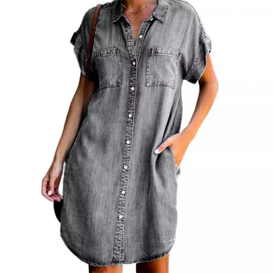 Blue Collar Short Sleeve Slim Dress